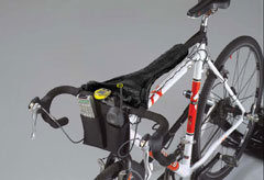 9715 BikeThong LDsmall Top 10 indoor essentials (plus a few extras...)